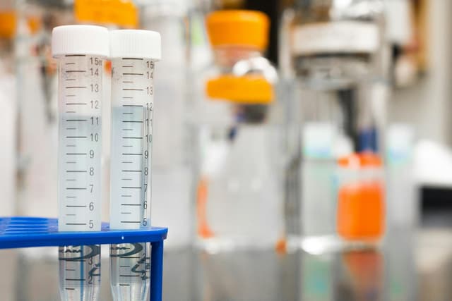MATERNAL HEALTH RESEARCH